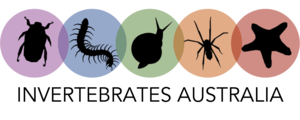 Inverts Au